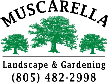 Mike Muscarella Landscaping